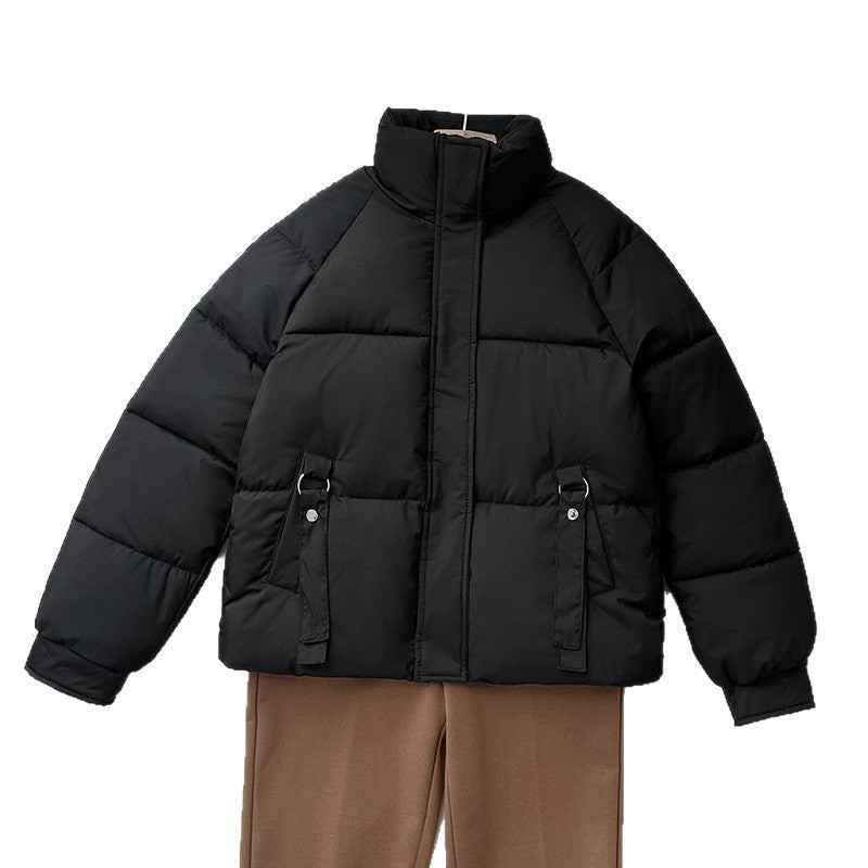 Miss | Jas Dames Gewatteerd Kort Puffer Hoge Kraag - Miss Madera MIS-J1CXE6