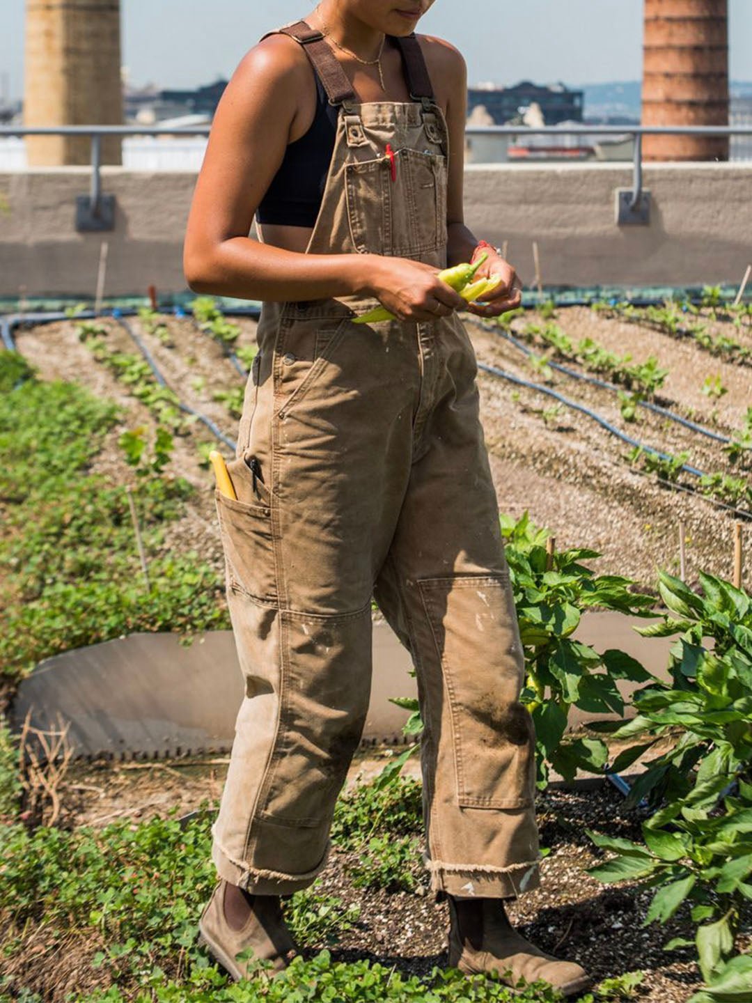 Miss | Jumpsuit Dames Tuinbroek Verstelbare Bandjes Zakken - Miss Madera MIS-FY5XYL