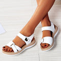 Miss | Sandalen Dames Comfort - Gewatteerd Kunstleer - Miss Madera MIS-C0A353